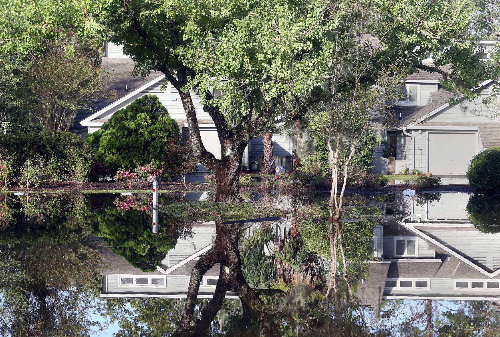 Tropical Storm Irma (copy)